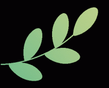 <b>并向老年人若何识别不法保健食物销</b>